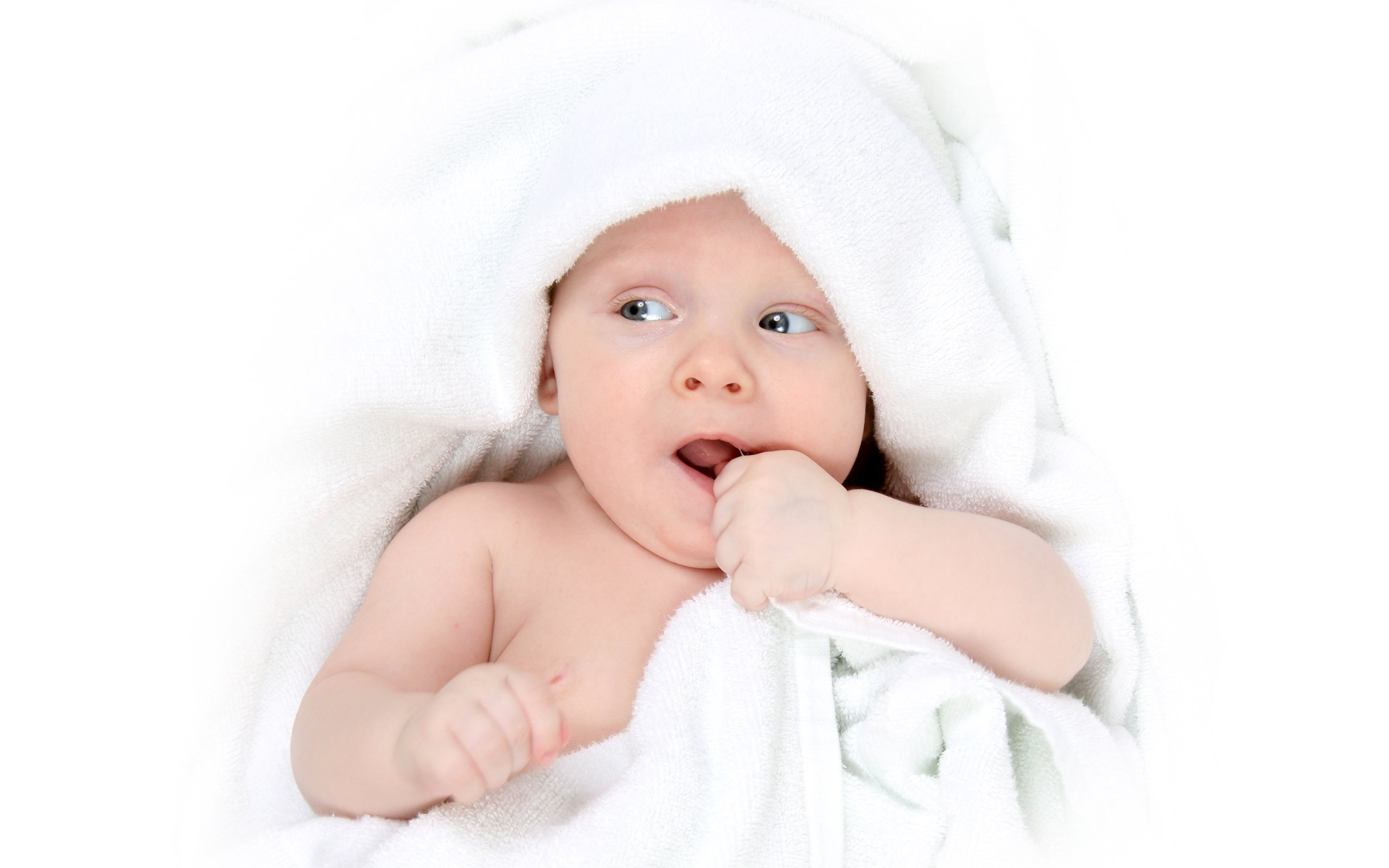 银川借卵机构卵巢早衰试管婴儿成功率